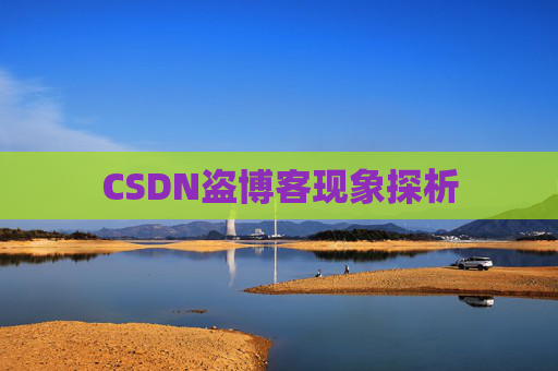 CSDN盗博客现象探析 CSDN盗博客现象探析